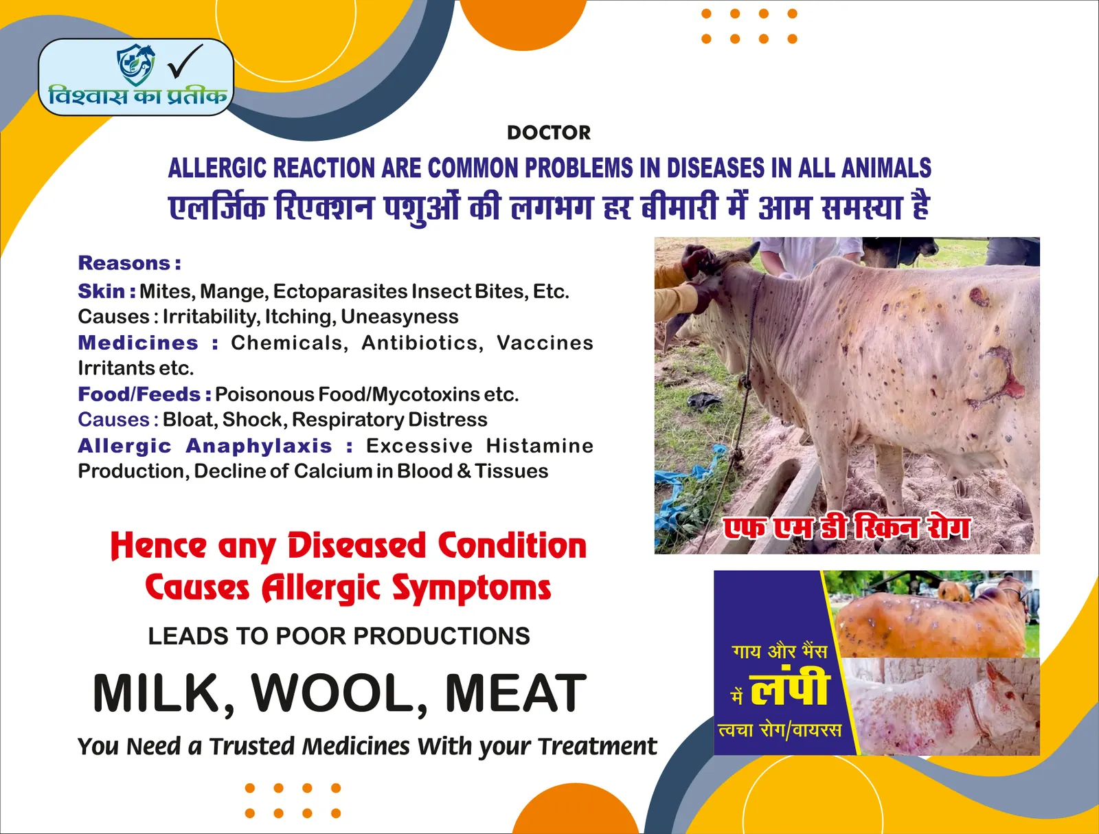 Catalogue page 28: Allergic reactions in animals