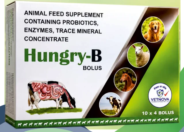 Hungry-B Bolus pack